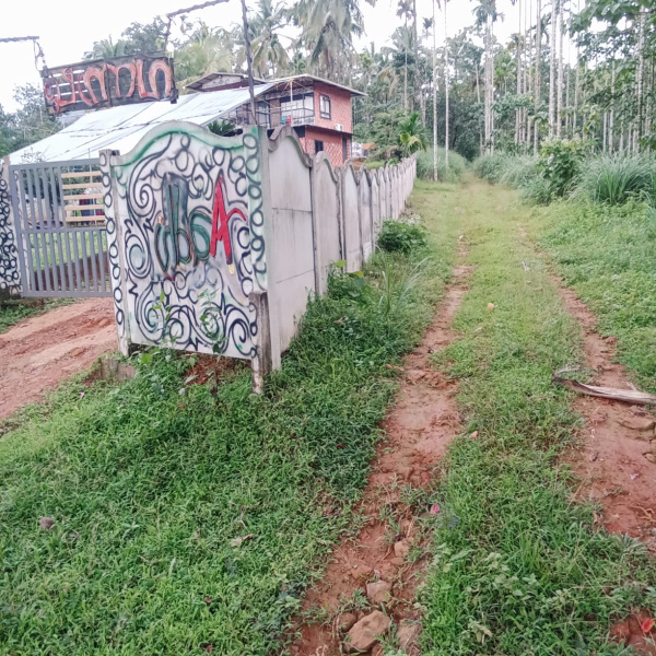  175 Cent Agricultural/Farm Land for Sale in Thamarassery, Kozhikode