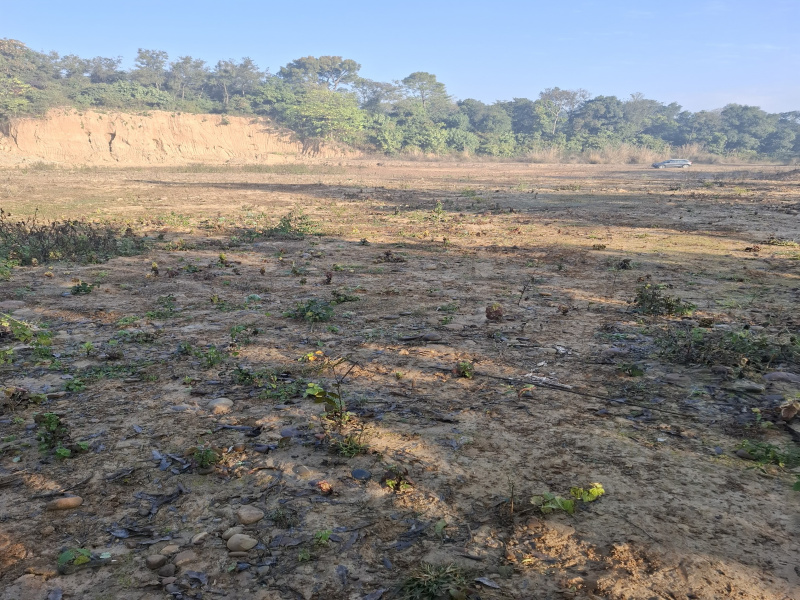  259 Sq.ft. Agricultural/Farm Land for Sale in Daulatpur Una