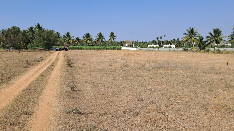  3 Acre Residential Plot for Sale in Annur, Coimbatore