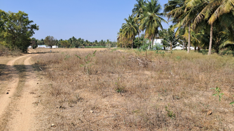  3 Acre Residential Plot for Sale in Annur, Coimbatore