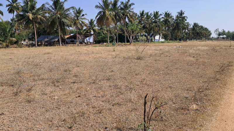  3 Acre Residential Plot for Sale in Annur, Coimbatore