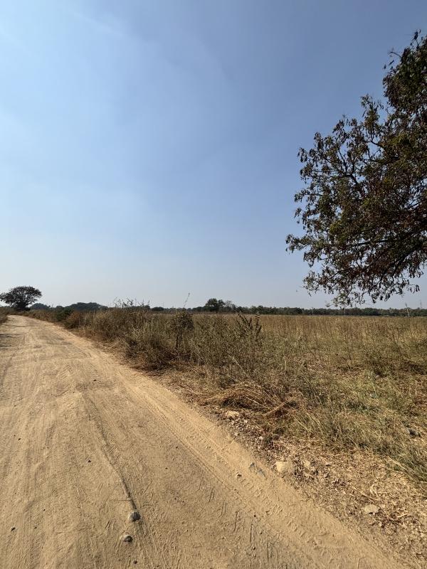  1 Acre Agricultural/Farm Land for Rent in Rudraram, Hyderabad