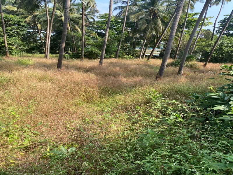  3600 Sq. Meter Residential Plot for Sale in Divar Island, North Goa, 