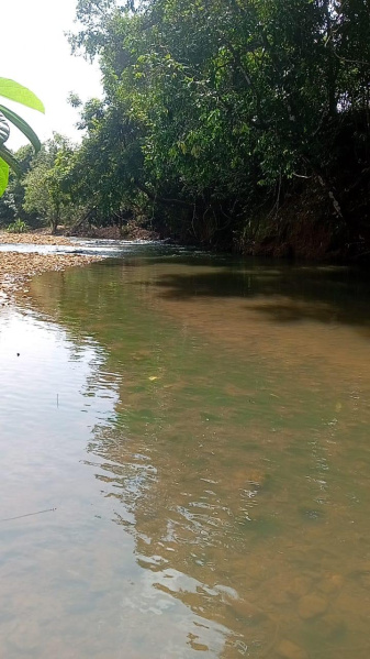  43800 Sq. Meter Agricultural/Farm Land for Sale in Collem, Goa