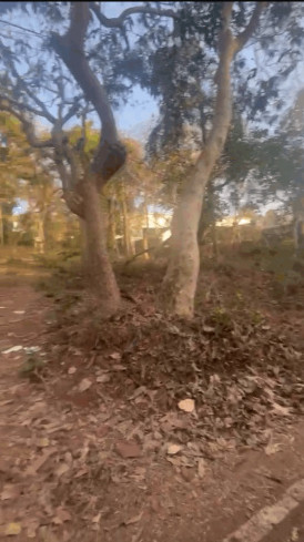  3550 Sq. Meter Commercial Land for Sale in Assagaon, North Goa, 