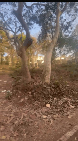  168000 Sq. Meter Commercial Land for Sale in Corgao, Pernem, Goa