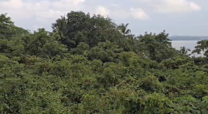  1450 Sq.ft. Commercial Land for Sale in Dona Paula, Goa