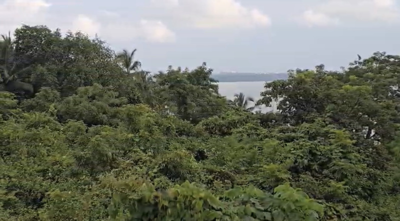  1450 Sq.ft. Commercial Land for Sale in Dona Paula, Goa