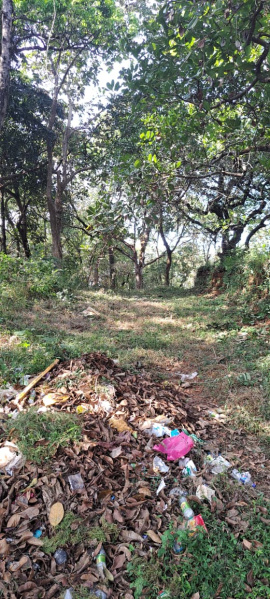  3150 Sq. Meter Residential Plot for Sale in Divar Island, North Goa, 