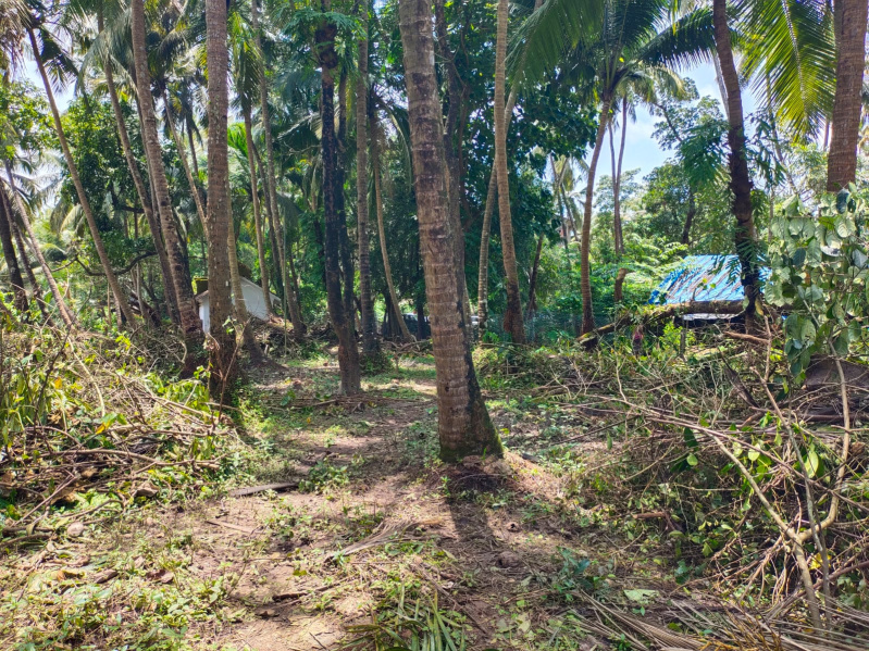 Additional image 2 of Porvorim, Goa