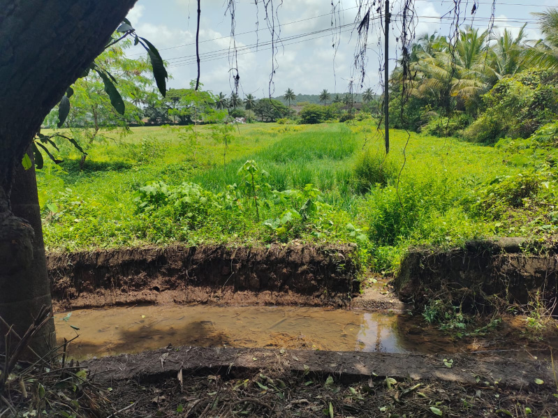 Porvorim, Goa