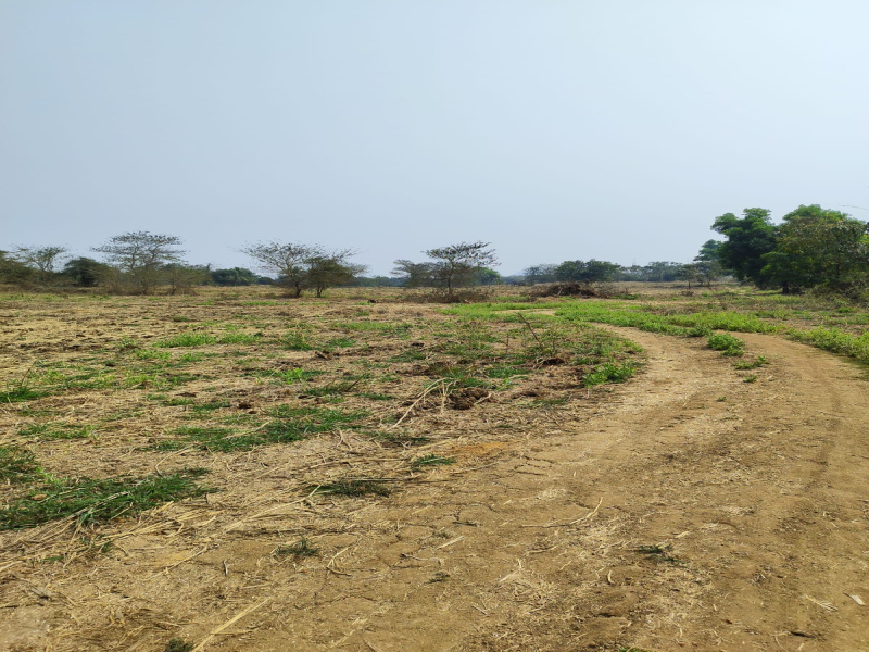  174015 Sq. Meter Industrial Land for Sale in Dahanu, Palghar