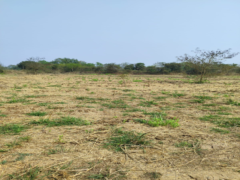  174015 Sq. Meter Industrial Land for Sale in Dahanu, Palghar