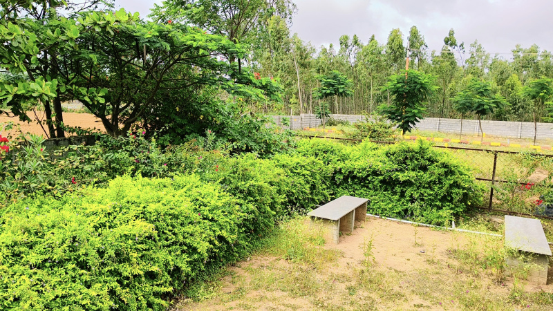  1500 Sq.ft. Residential Plot for Sale in Soukya Road, Bangalore