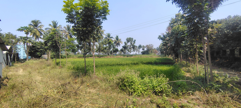  3 Acre Agricultural/Farm Land for Sale in Panapakkam, Vellore