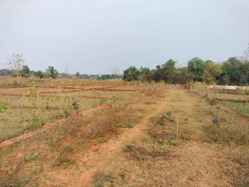  3500 Sq.ft. Residential Plot for Sale in Banapur, Khordha