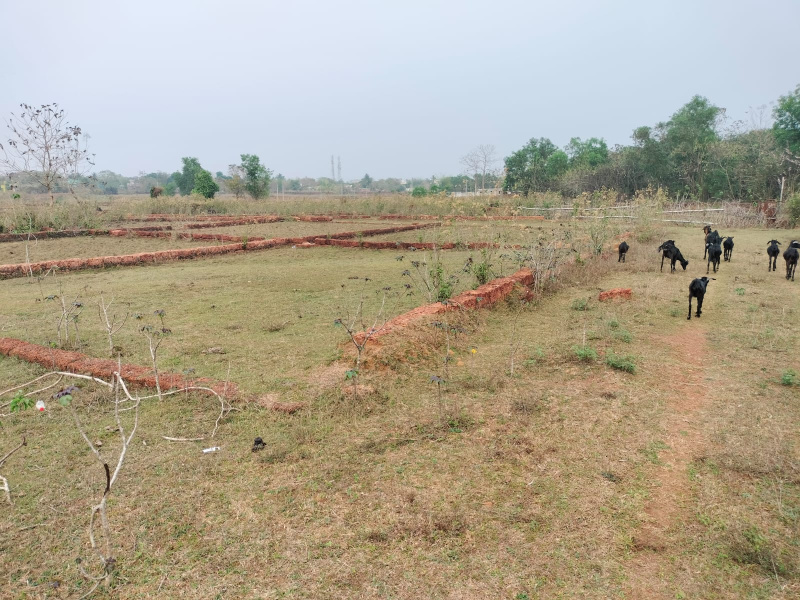  3500 Sq.ft. Residential Plot for Sale in Banapur, Khordha