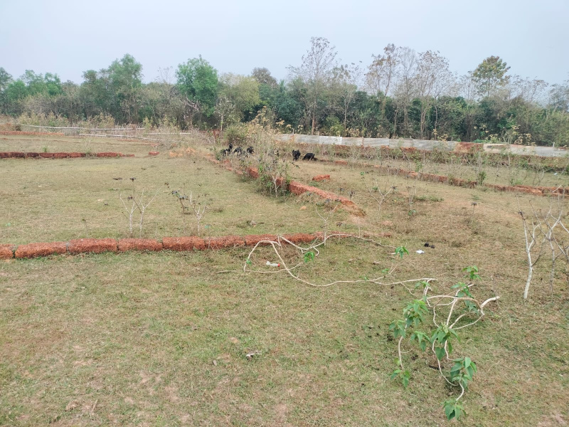  3500 Sq.ft. Residential Plot for Sale in Banapur, Khordha
