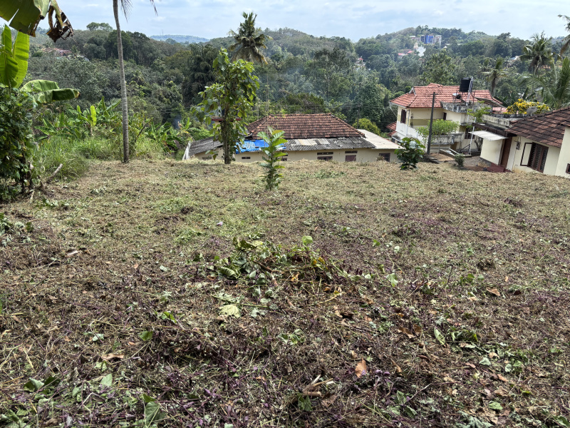  25 Cent Residential Plot for Sale in Manganam, Kottayam