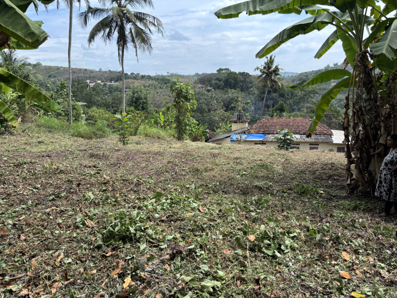  25 Cent Residential Plot for Sale in Manganam, Kottayam