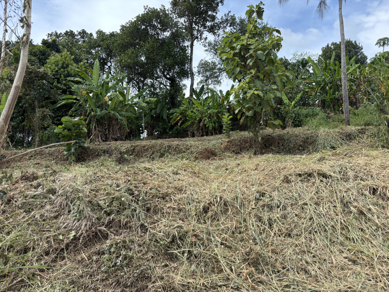  25 Cent Residential Plot for Sale in Manganam, Kottayam