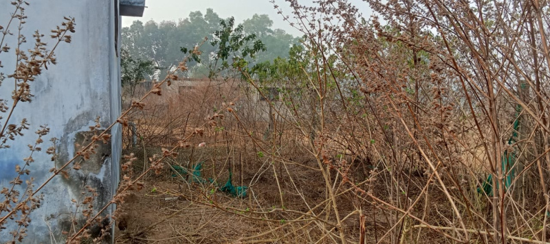  7405 Sq.ft. Commercial Land for Sale in Vishrampur, Surajpur