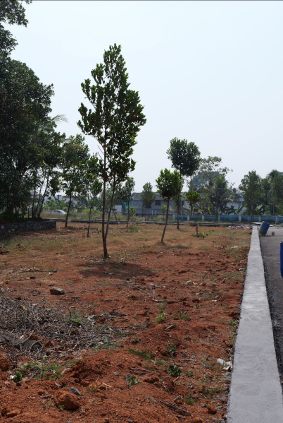  170 Cent Residential Plot for Sale in Angamaly, Ernakulam