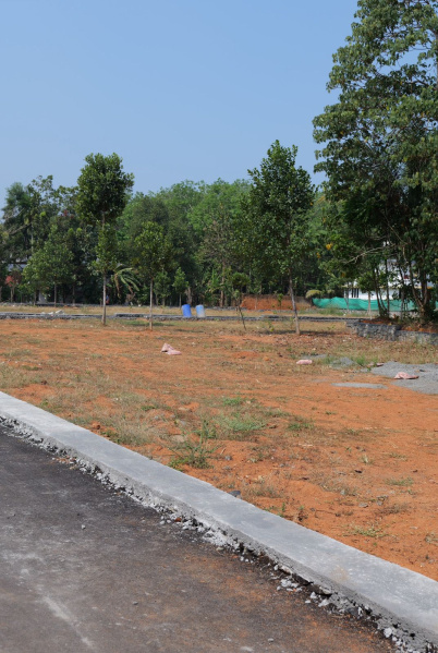  170 Cent Residential Plot for Sale in Angamaly, Ernakulam