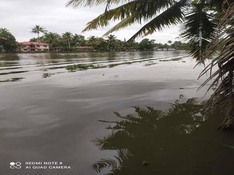  60 Cent Residential Plot for Sale in Nooranad, Alappuzha