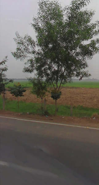  182 Katha Industrial Land for Sale in Manteswar, Bardhaman