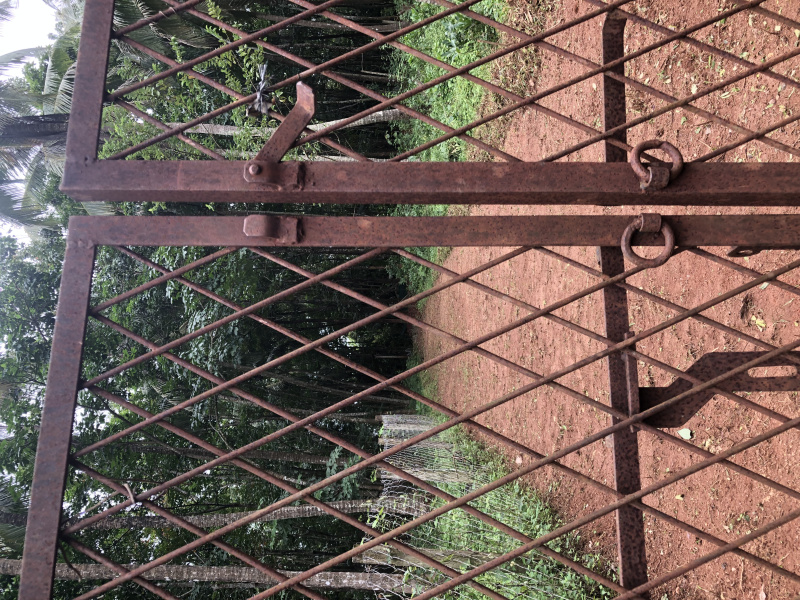  40 Cent Residential Plot for Sale in Kongad, Palakkad