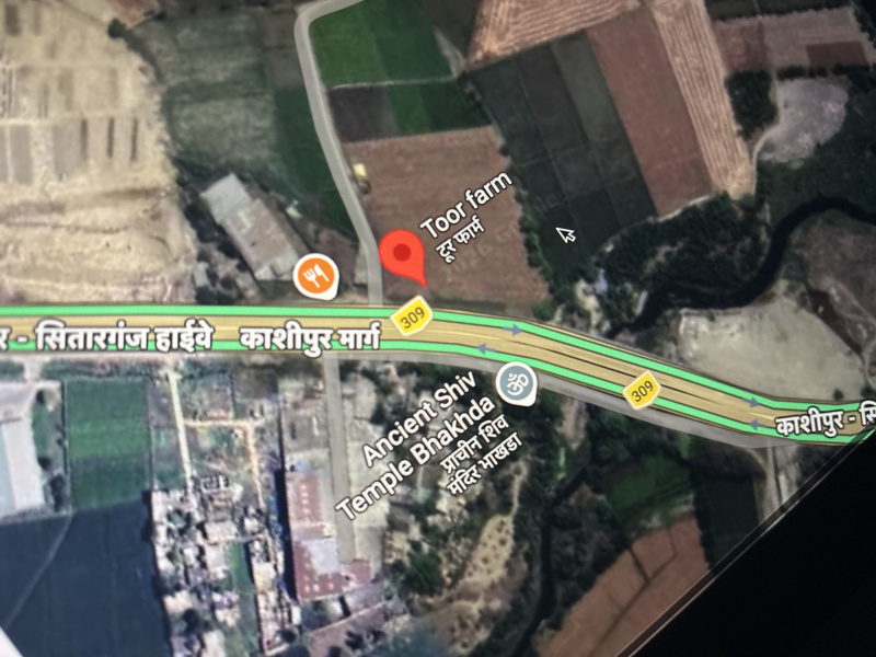 Gadarpur, Udham Singh Nagar photo 3