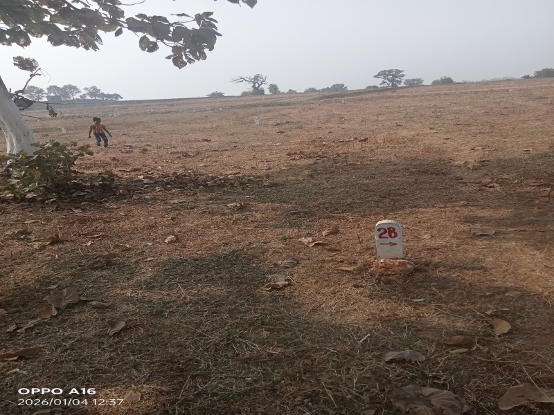  1395 Sq.ft. Residential Plot for Sale in Katol, Nagpur