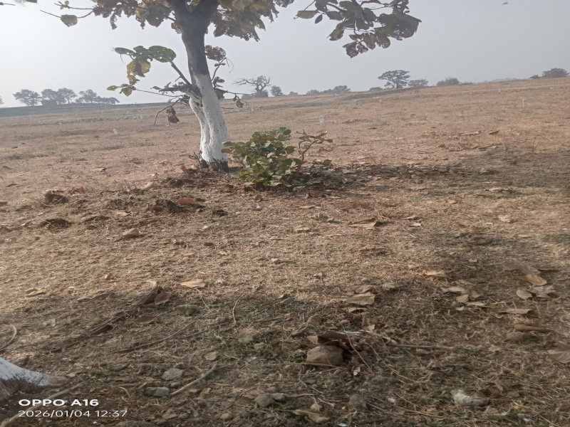  1395 Sq.ft. Residential Plot for Sale in Katol, Nagpur