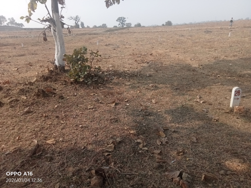  1395 Sq.ft. Residential Plot for Sale in Katol, Nagpur