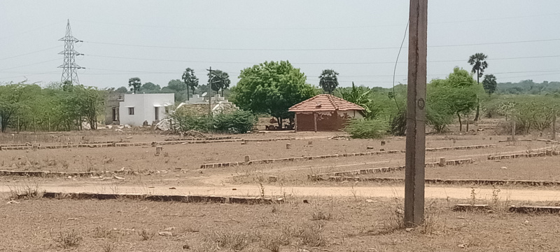  1200 Sq.ft. Residential Plot for Sale in Panjapur, Tiruchirappalli