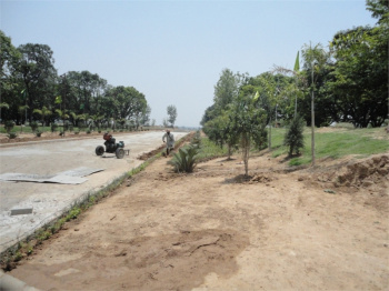  Residential Plot for Sale in Sector 21 Panchkula