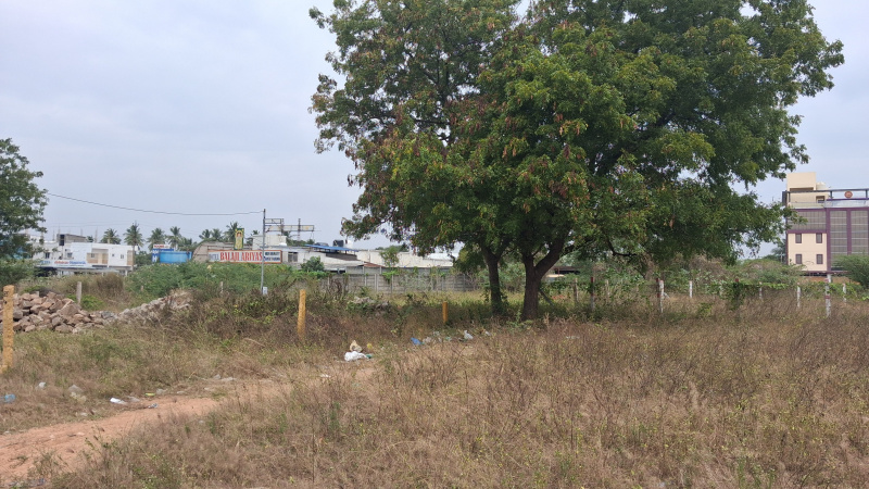  2400 Sq.ft. Residential Plot for Sale in Panjapur, Tiruchirappalli