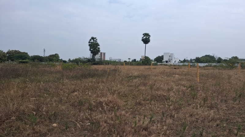  2400 Sq.ft. Residential Plot for Sale in Panjapur, Tiruchirappalli