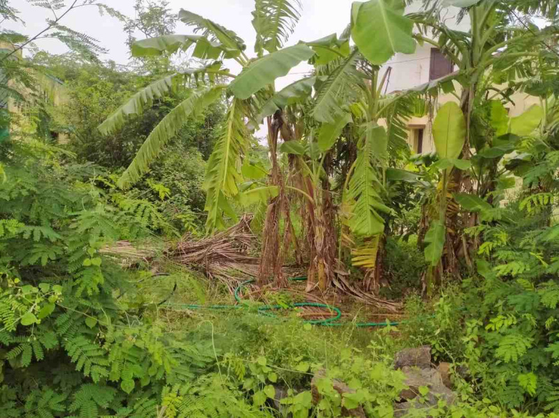  5 Cent Residential Plot for Sale in Vadamadurai, Dindigul
