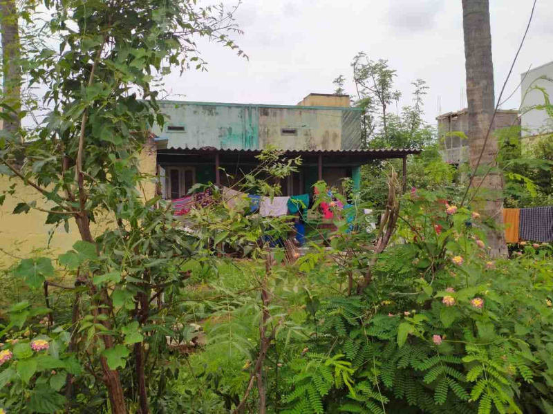  5 Cent Residential Plot for Sale in Vadamadurai, Dindigul