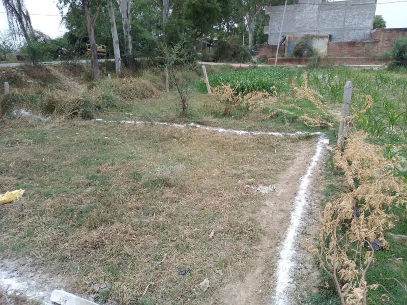 1000 Sq.ft. Residential Plot for Sale in Fatehpur Chaurasi, Unnao