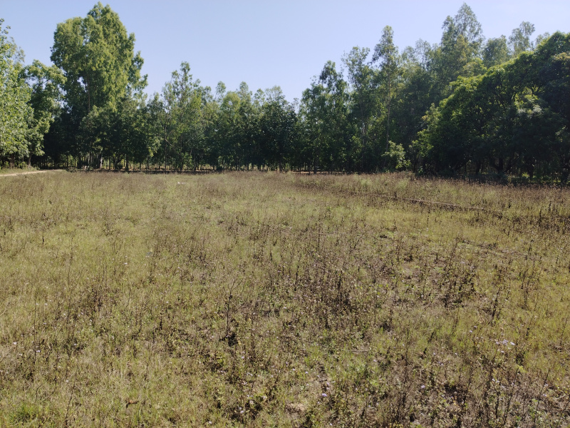  4 Bigha Agricultural/Farm Land for Sale in Chhutmalpur, Saharanpur