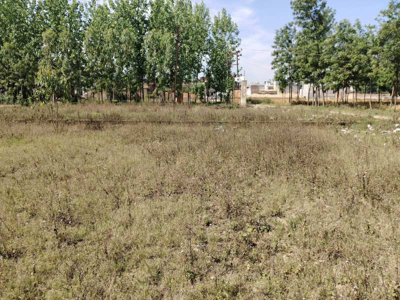  4 Bigha Agricultural/Farm Land for Sale in Chhutmalpur, Saharanpur
