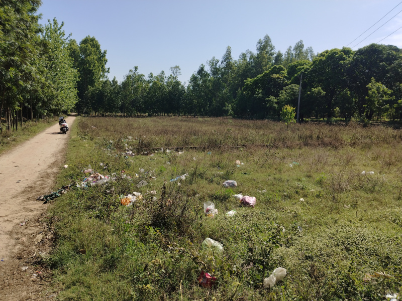  4 Bigha Agricultural/Farm Land for Sale in Chhutmalpur, Saharanpur