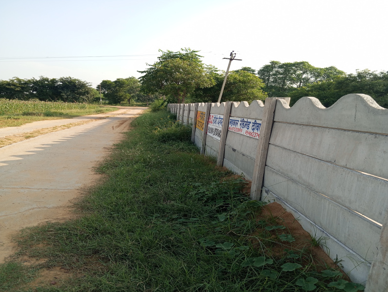 Dadri Road, Jhajjar photo 3