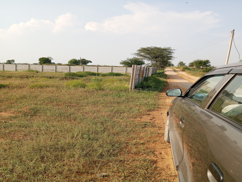 Dadri Road, Jhajjar photo 4
