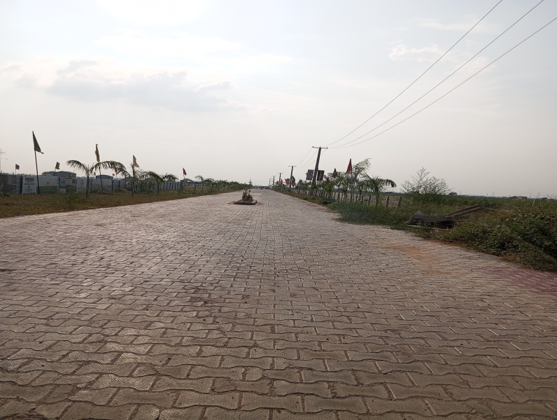 Dadri Road, Jhajjar photo 5