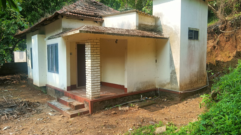  20 Cent Residential Plot for Sale in Cheruthoni, Idukki
