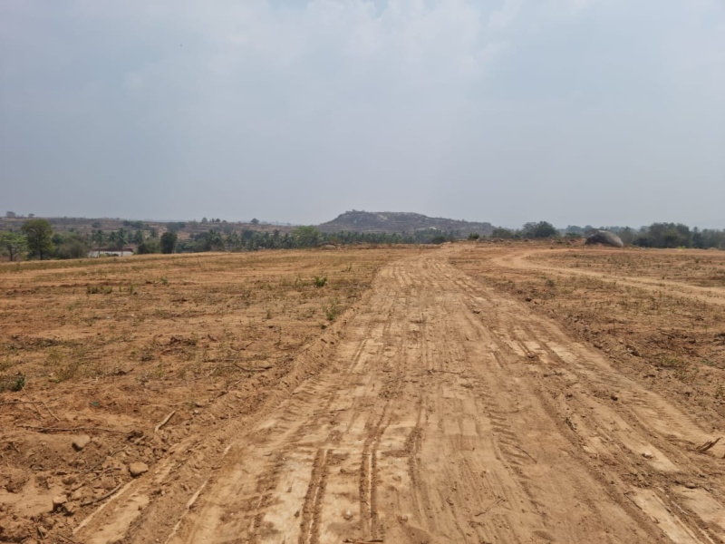  43560 Sq.ft. Agricultural/Farm Land for Sale in Denkanikottai, Krishnagiri